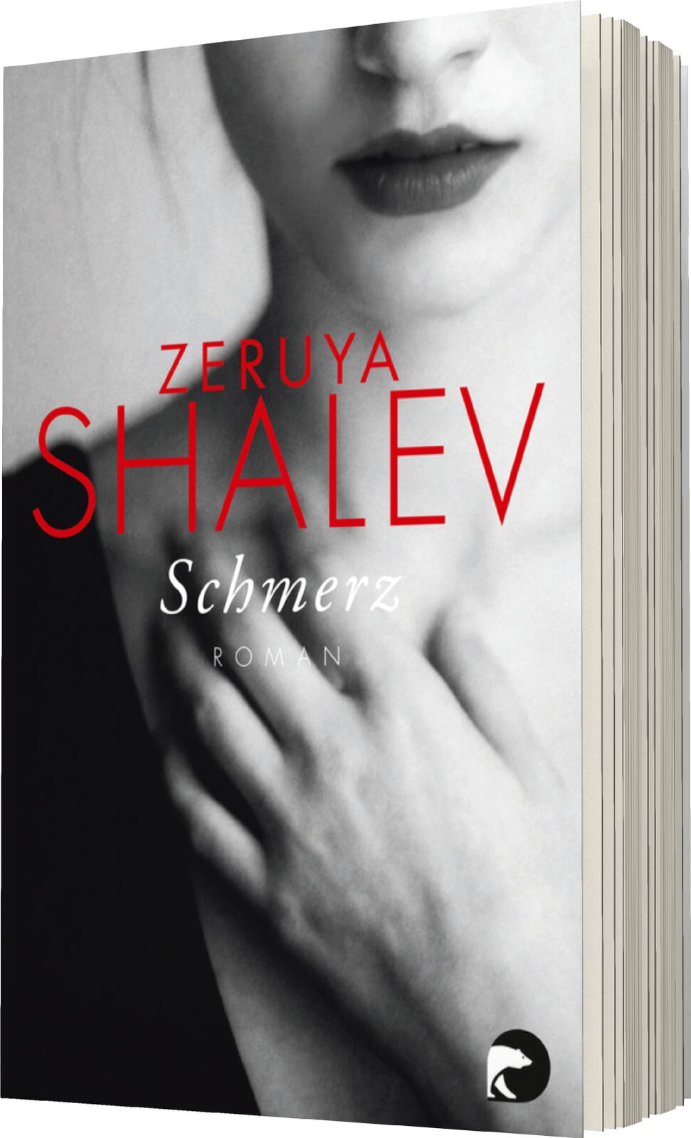 Anderes Coverbild Schmerz