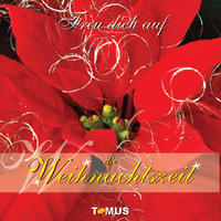 Vorderes Coverbild Freu dich auf die Weihnachtszeit