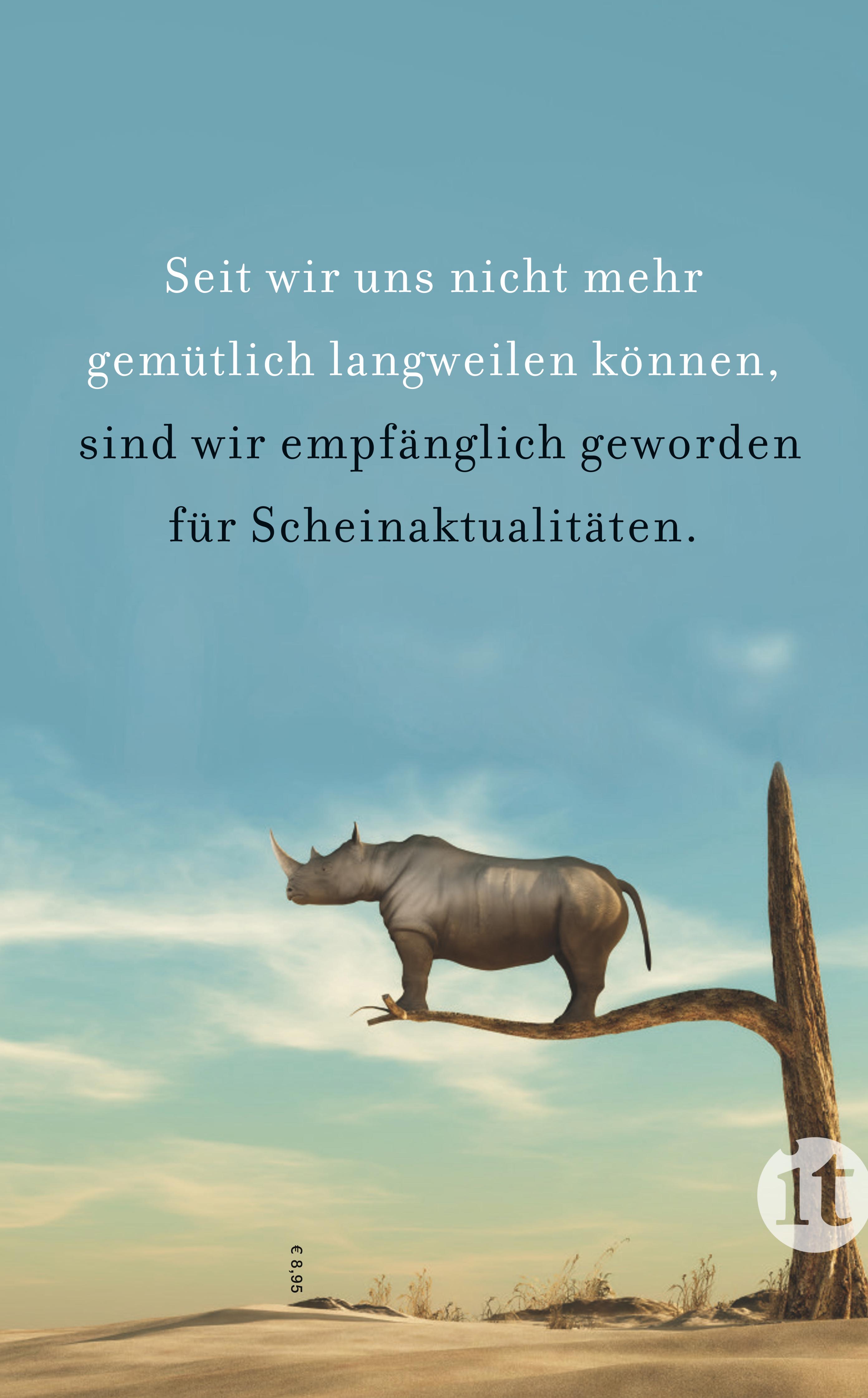 Rückseitencover Die schöne Schwester Langeweile