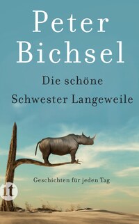 Vorderes Coverbild Die schöne Schwester Langeweile