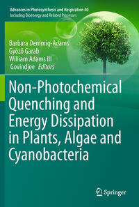 Vorderes Coverbild Non-Photochemical Quenching and Energy Dissipation in Plants, Algae and Cyanobacteria