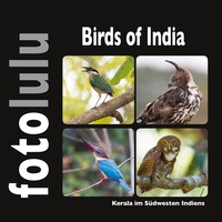 Vorderes Coverbild Birds of India