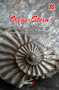 Vorderes Coverbild Olegs Stein