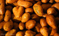 Vorderes Coverbild Vesperbrettchen / Frühstücksbrettchen Kartoffeln
