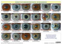 Vorderes Coverbild Konstitutionsorientierte Irisdiagnose