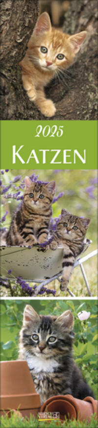 Vorderes Coverbild Katzen Langplaner 2025