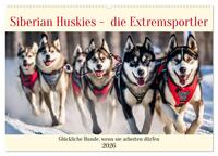 Vorderes Coverbild Siberian Huskies - die Extremsportler (Wandkalender 2026 DIN A2 quer), CALVENDO Monatskalender