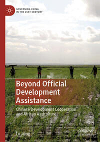 Vorderes Coverbild Beyond Official Development Assistance