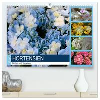 Vorderes Coverbild Hortensien Blühen und Vergehen (hochwertiger Premium Wandkalender 2026 DIN A2 quer), Kunstdruck in Hochglanz