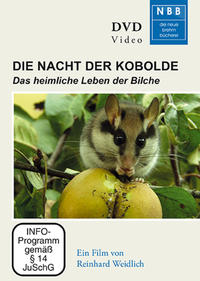 Vorderes Coverbild Die Nacht der Kobolde