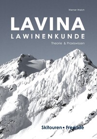 Vorderes Coverbild Lavina