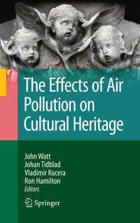 Vorderes Coverbild The Effects of Air Pollution on Cultural Heritage
