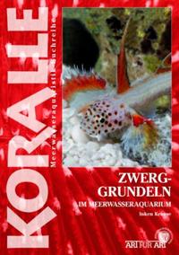 Vorderes Coverbild Zwerggrundeln im Meerwasseraquarium