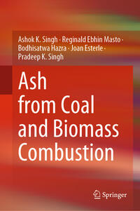 Vorderes Coverbild Ash from Coal and Biomass Combustion