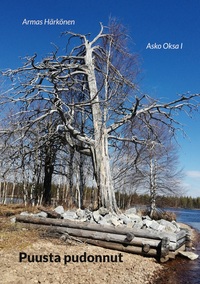 Vorderes Coverbild Puusta pudonnut