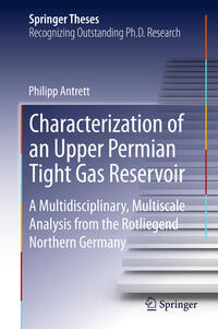 Vorderes Coverbild Characterization of an Upper Permian Tight Gas Reservoir
