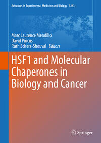 Vorderes Coverbild HSF1 and Molecular Chaperones in Biology and Cancer