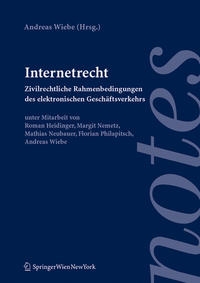 Vorderes Coverbild Internetrecht