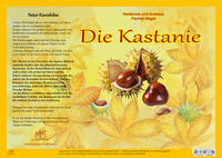 Vorderes Coverbild Natur-Kamishibai / Natur-Kamishibai Die Kastanie
