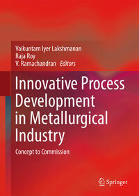 Vorderes Coverbild Innovative Process Development in Metallurgical Industry