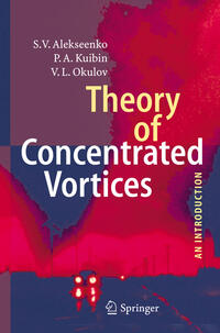 Vorderes Coverbild Theory of Concentrated Vortices