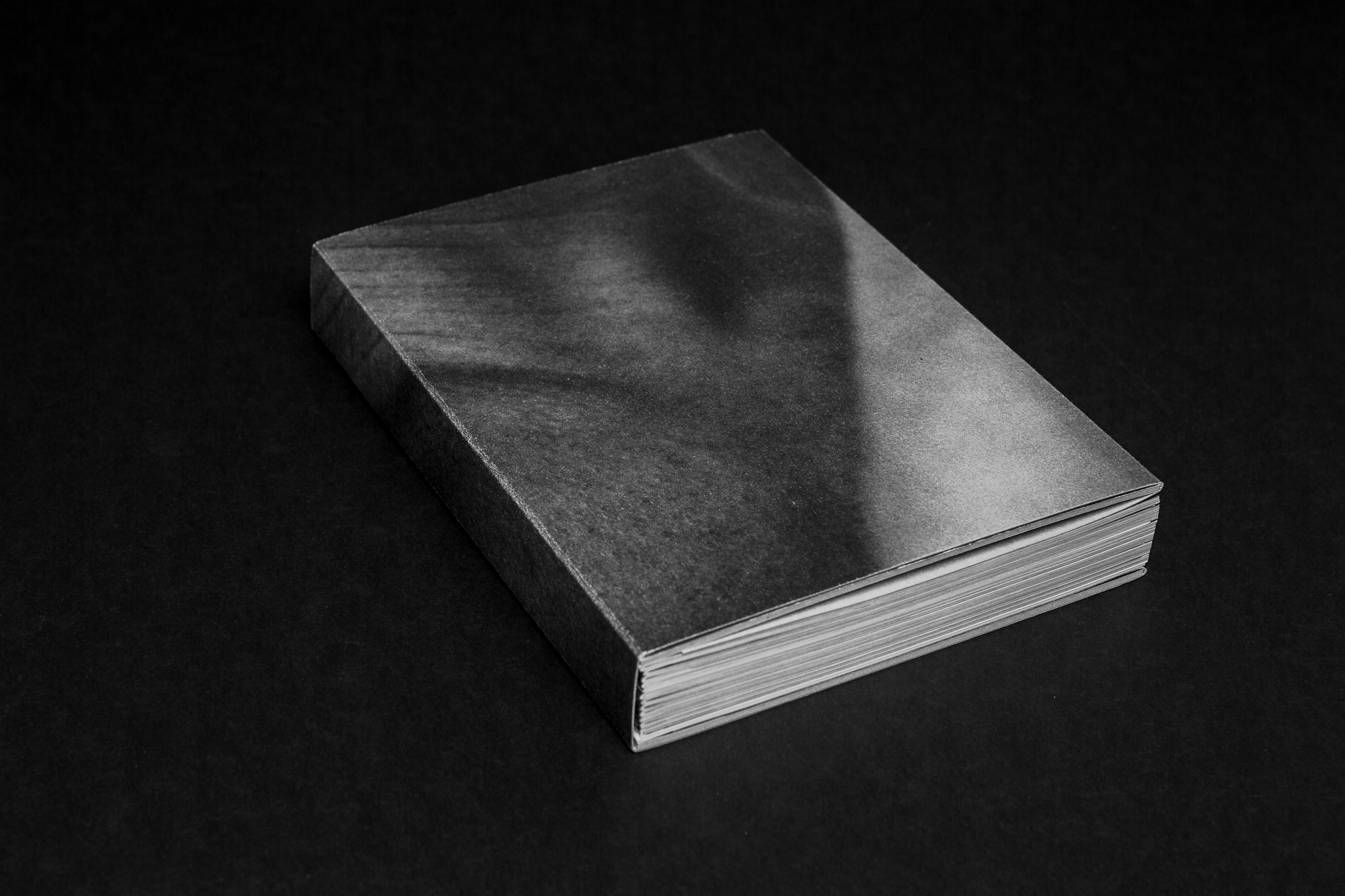 Anderes Coverbild Ardelle Schneider