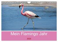 Vorderes Coverbild Mein Flamingo Jahr (Wandkalender 2025 DIN A4 quer), CALVENDO Monatskalender
