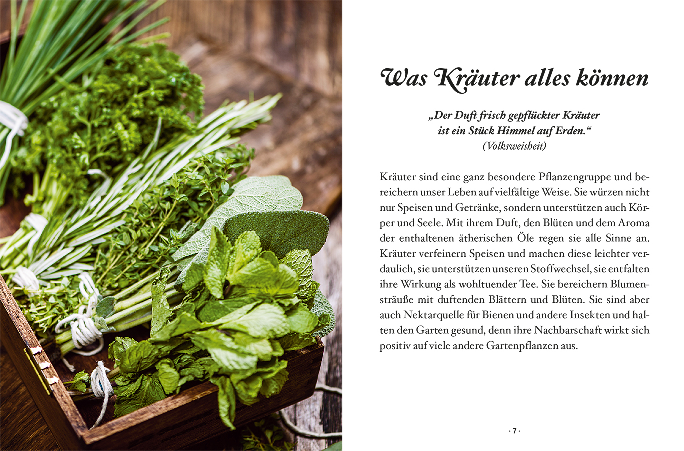 Beispielinhalt (Bild) Das kleine Buch: Genusskräuter