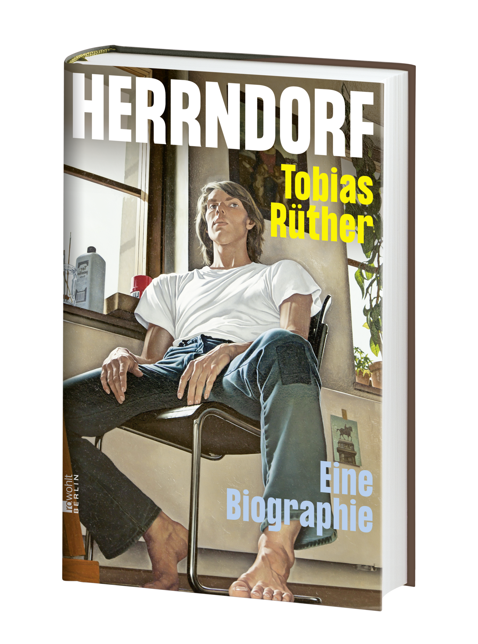 Anderes Coverbild Herrndorf