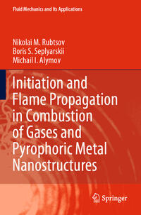 Vorderes Coverbild Initiation and Flame Propagation in Combustion of Gases and Pyrophoric Metal Nanostructures