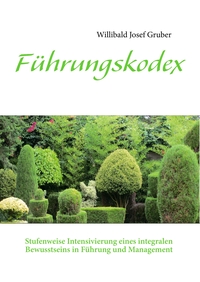 Vorderes Coverbild Führungskodex