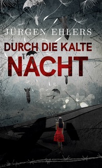 Vorderes Coverbild Durch die kalte Nacht