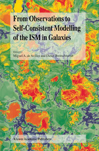 Vorderes Coverbild From Observations to Self-Consistent Modelling of the ISM in Galaxies