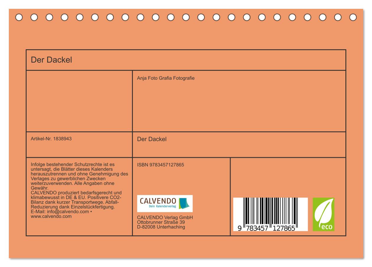 Beispielinhalt (Bild) Der Dackel (Tischkalender 2025 DIN A5 quer), CALVENDO Monatskalender