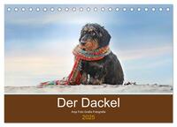 Vorderes Coverbild Der Dackel (Tischkalender 2025 DIN A5 quer), CALVENDO Monatskalender