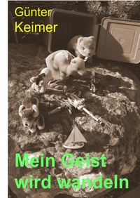 Vorderes Coverbild Mein Geist wird wandeln