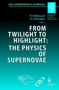 Vorderes Coverbild From Twilight to Highlight: The Physics of Supernovae