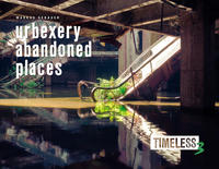 Vorderes Coverbild Timeless 3