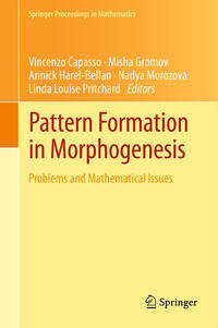 Vorderes Coverbild Pattern Formation in Morphogenesis