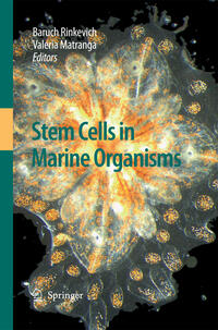 Vorderes Coverbild Stem Cells in Marine Organisms