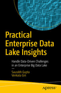Vorderes Coverbild Practical Enterprise Data Lake Insights