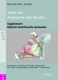Vorderes Coverbild Atlas der Anatomie des Rindes