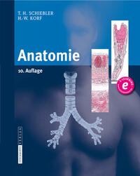 Vorderes Coverbild Anatomie