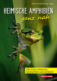 Vorderes Coverbild Heimische Amphibien ganz nah