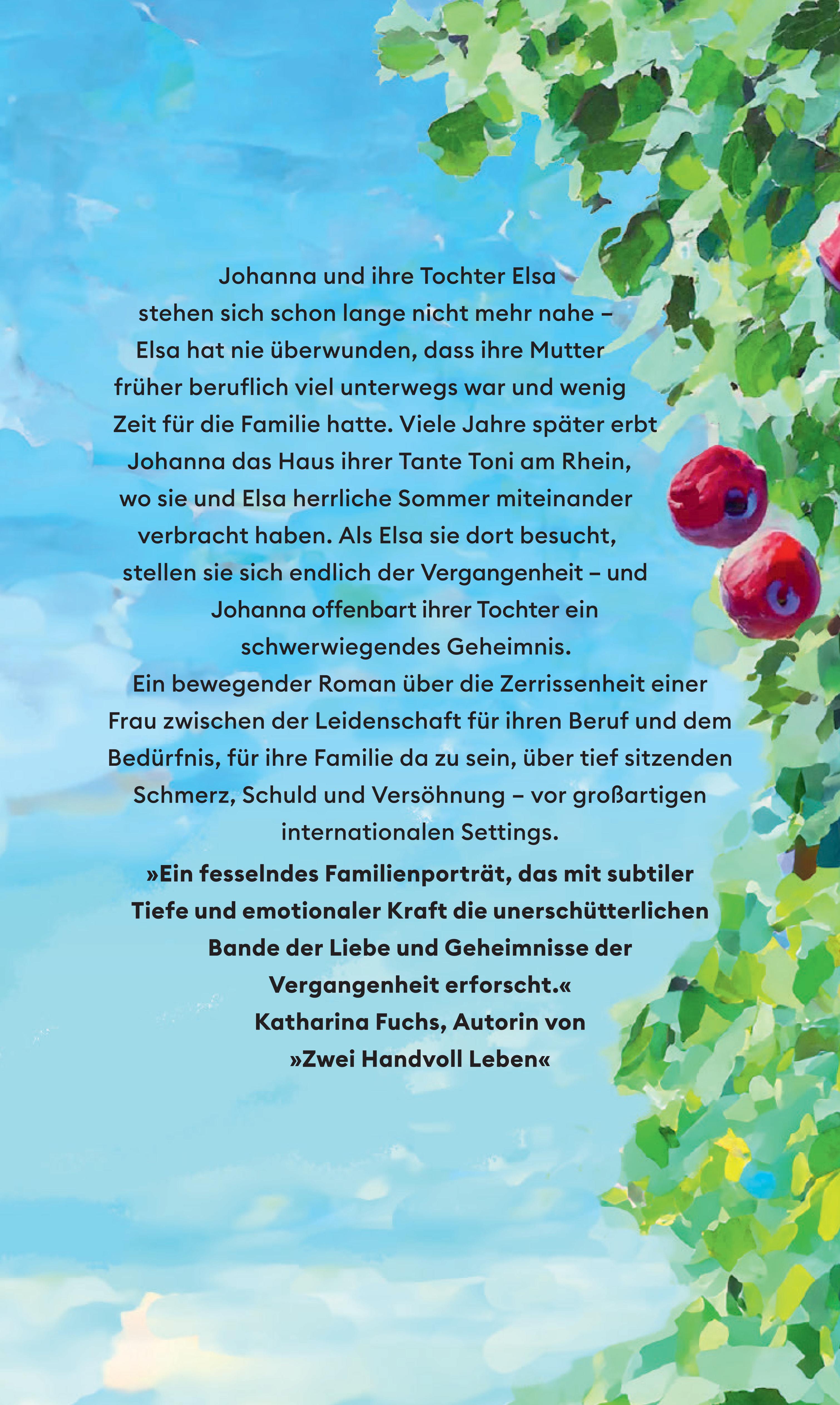 Rückseitencover Der Morgen nach dem Regen