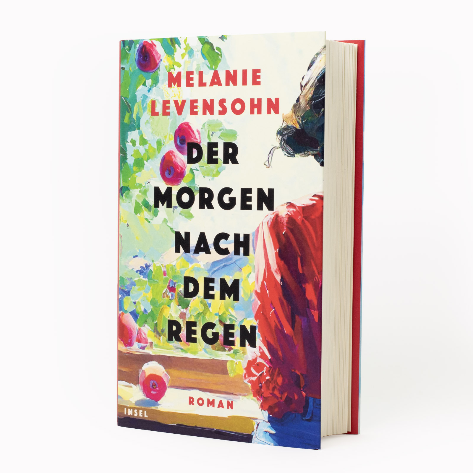 Anderes Coverbild Der Morgen nach dem Regen