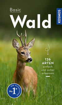 Vorderes Coverbild Basic Wald