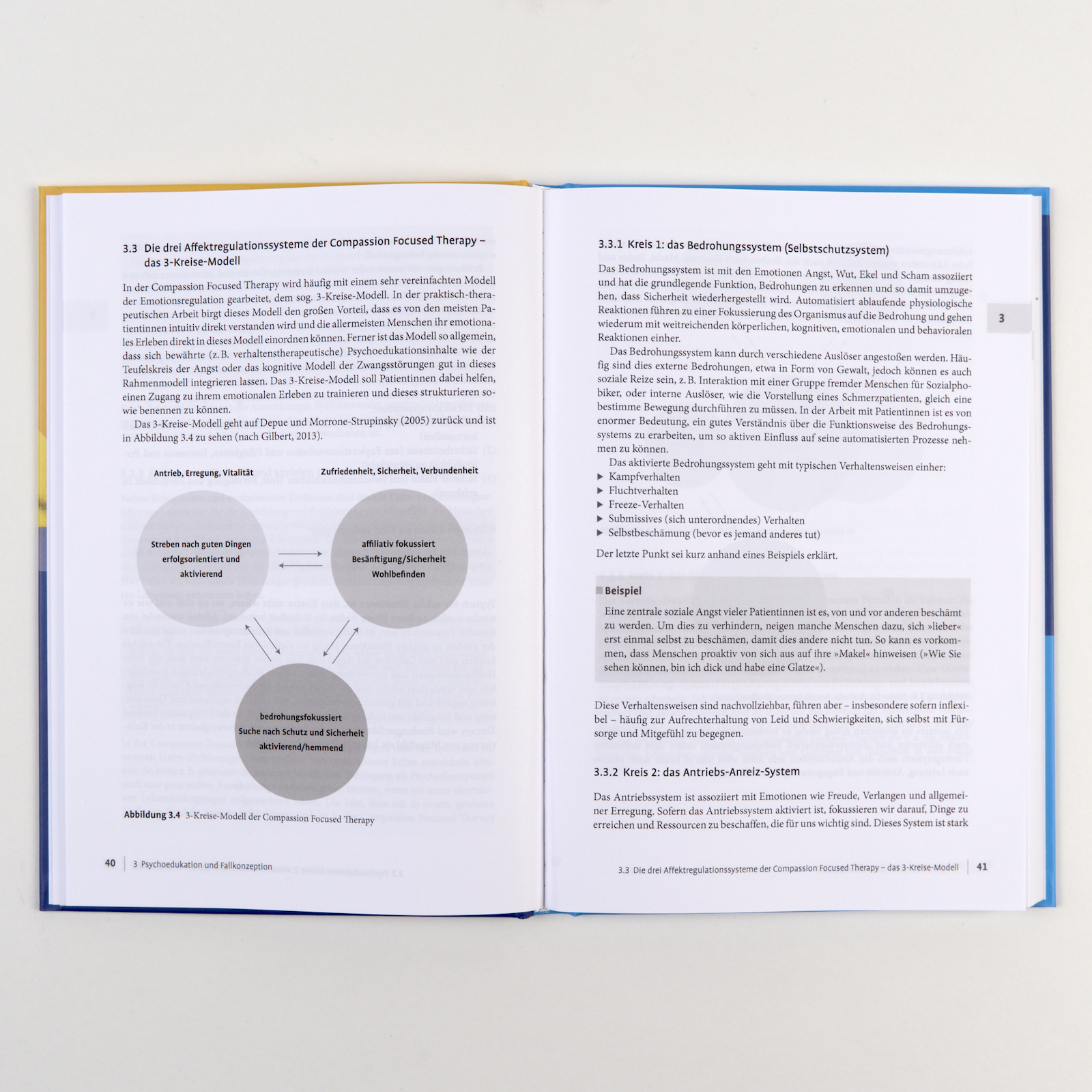 Beispielinhalt (Bild) Compassion Focused Therapy in der Praxis
