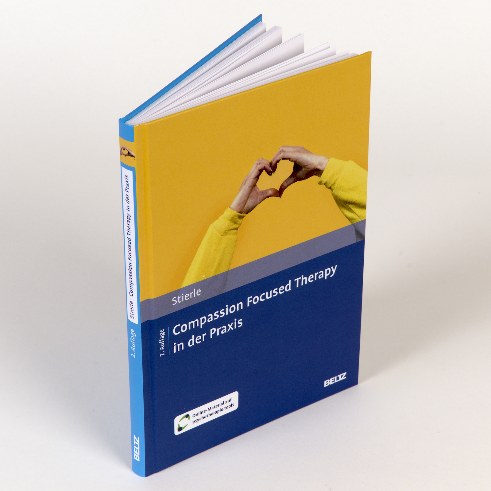 Anderes Coverbild Compassion Focused Therapy in der Praxis