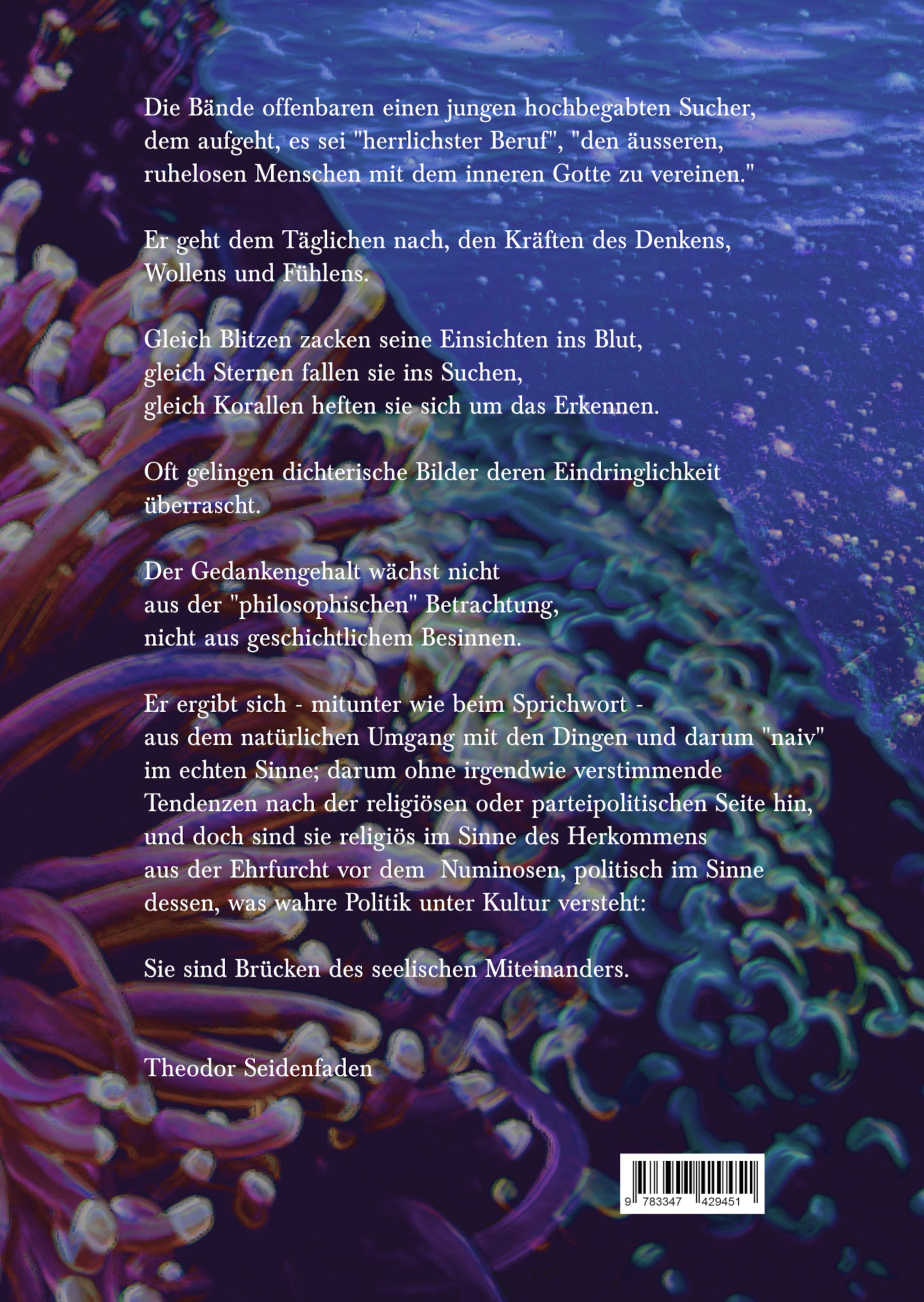 Rückseitencover Medium I